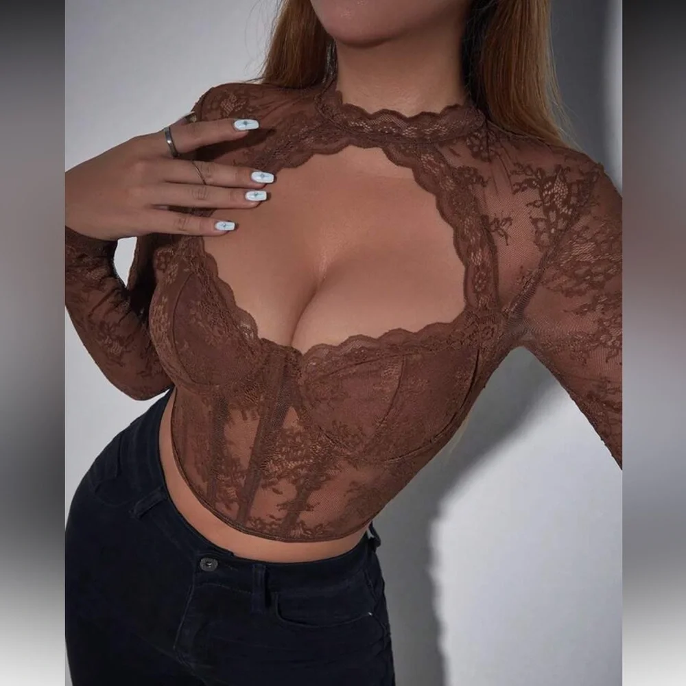 Elegant Brown  Lace Long Sleeve Top